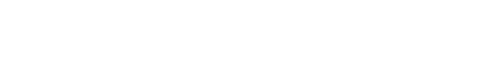 logowhitex3